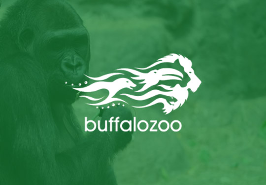 Buffalo Zoo InVue Digital